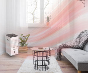 Starlyf Cooler & Heater 5 in 1 a 599 PLN