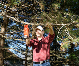 Minichain Saw a 89,99€